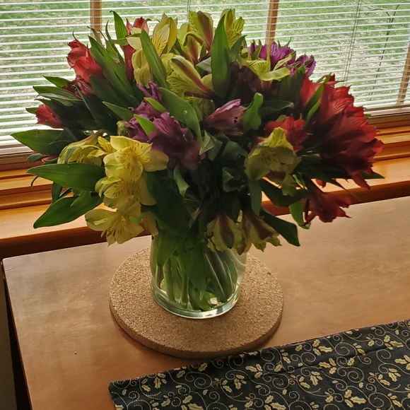 Meet your Posher, Patricia - Picture 1 of 1